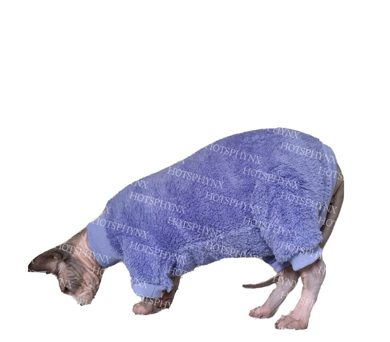 May include: A purple fuzzy cat onesie for a small dog or cat. The onesie has long sleeves and a hood. The cat is wearing the onesie and is looking down.