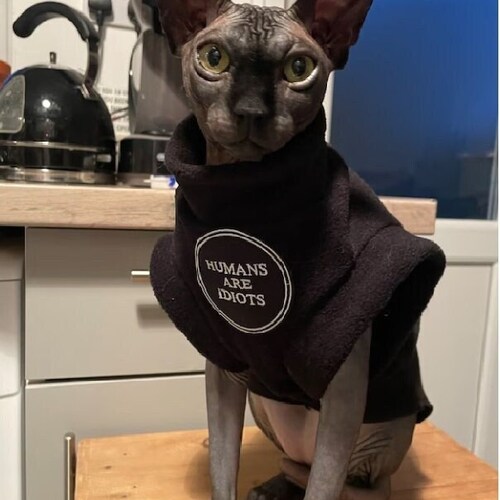 tailles HUMANS haut en polaire pour chat Sphynx, vêtements pour chats, pull Katzenbekleidung, HOTSPHYNX