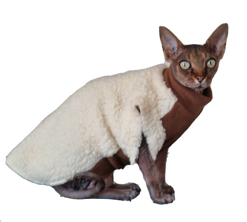 May include: A brown and white cat wearing a white fleece sweater. The cat is sitting on a white background.