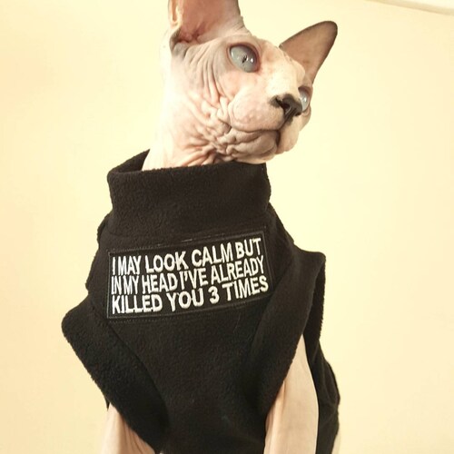 Scary TEXT manteau pour animal de compagnie, vêtements pour chat, manteau de chat, haut pour chat Sphynx - vêtements de chat, vêtements sphynx Halloween