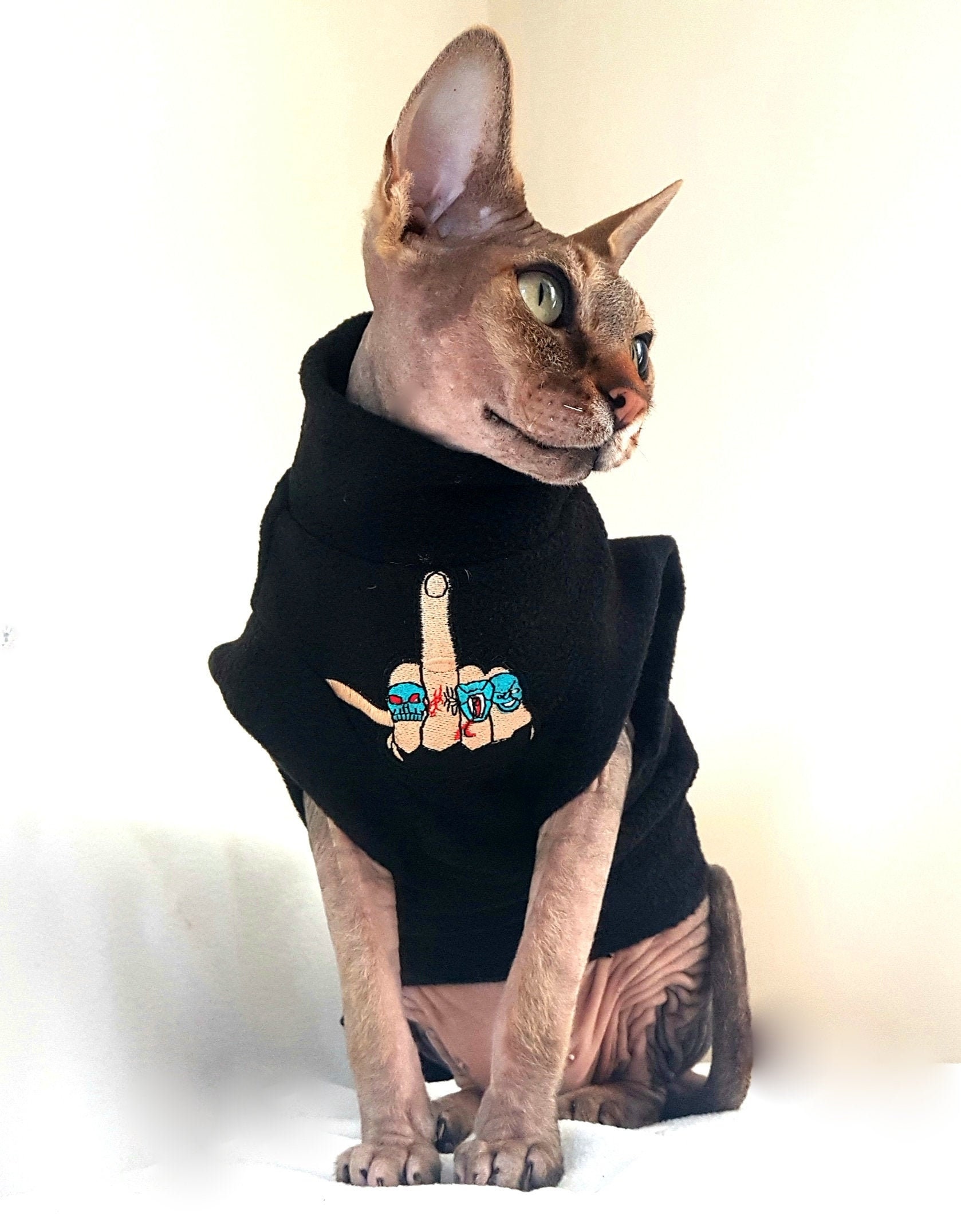 Hairless cat in clothes top