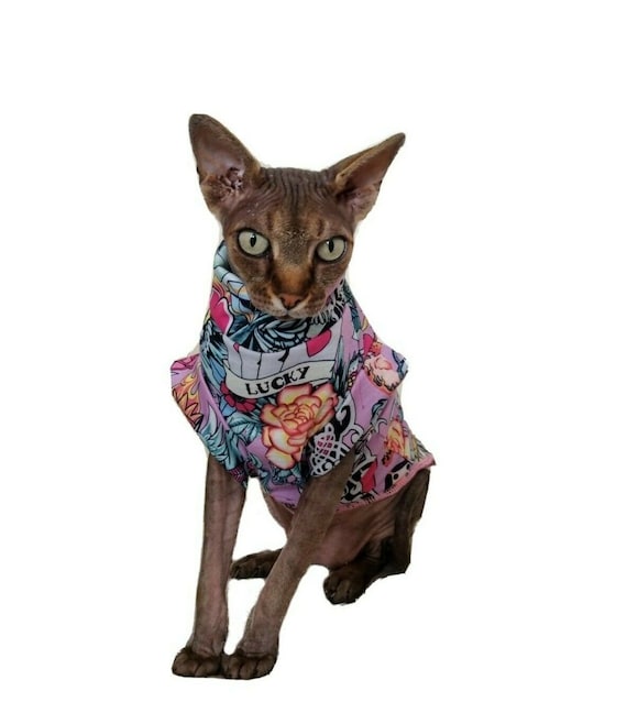 Sizes TATTOO Cat Jumper for a Sphynx Cat Clothes Jumper 