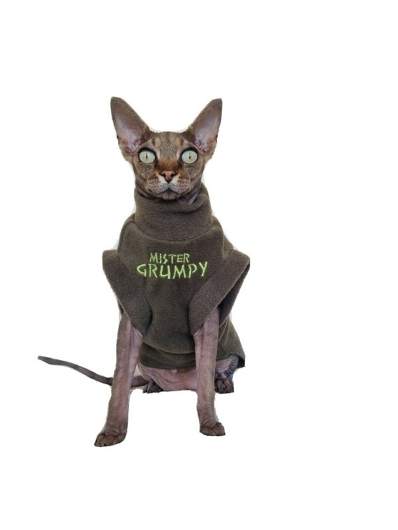 Kaufen österreich katze sphynx