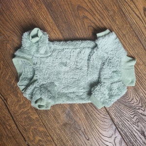 May include: A soft, light green, fuzzy, hooded sweater for a pet.