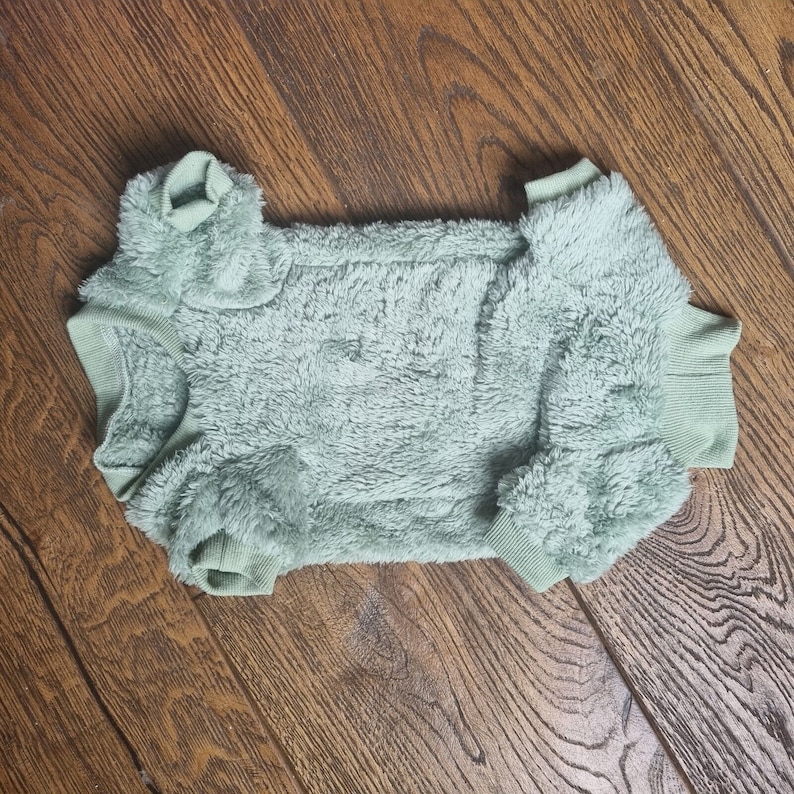 May include: A soft, light green, fuzzy, hooded sweater for a pet.