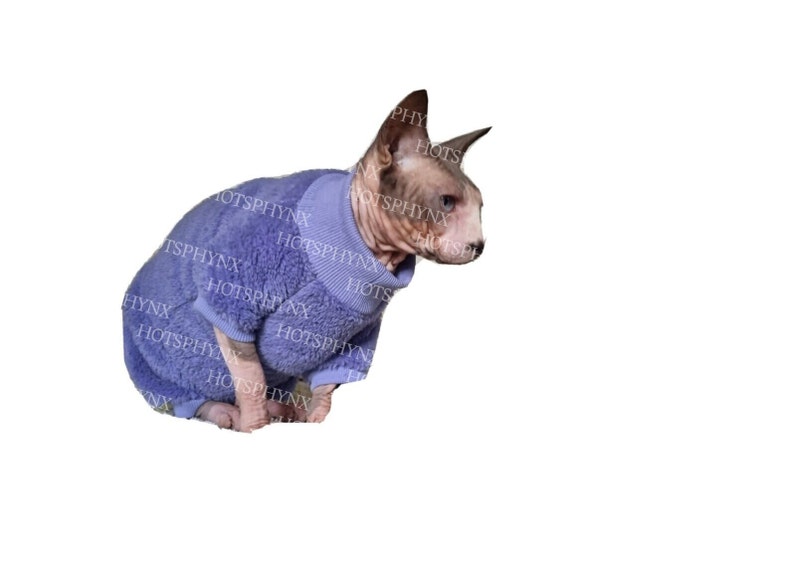 May include: A hairless cat wearing a purple fleece sweater. The cat is sitting on a white background.