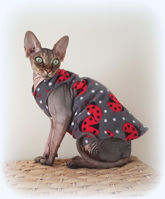 sphynx cat outfits