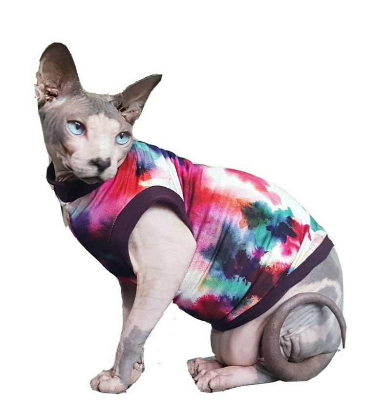 Vetements De Chat Explosion Vetements Sphynx Chat Glabre Etsy Vetements De Chat Explosion Vetements Sphynx Chat Glabre Etsy