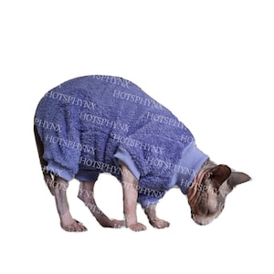May include: A hairless cat wearing a light purple fuzzy jumpsuit. The cat is looking down at the ground.
