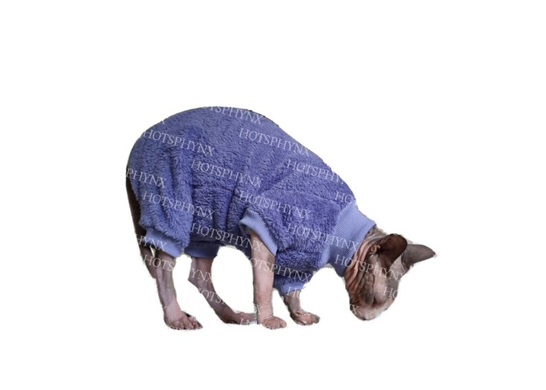 May include: A hairless cat wearing a light purple fuzzy jumpsuit. The cat is looking down at the ground.