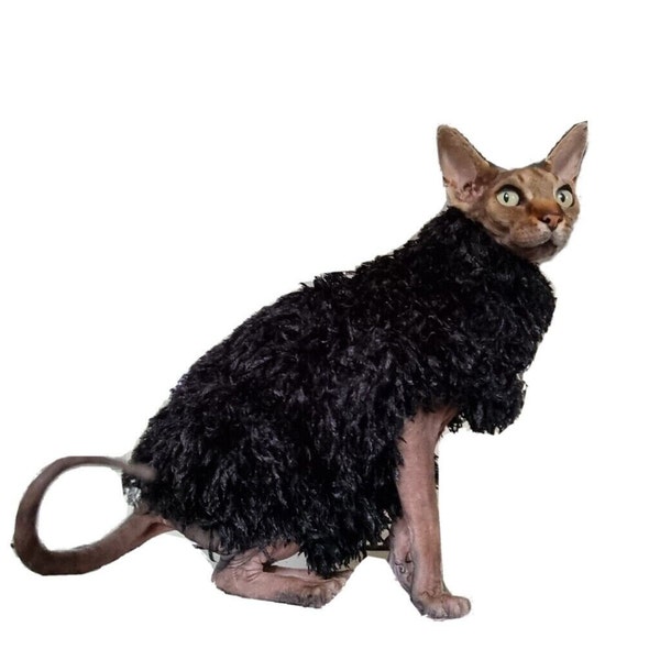 sizes  FEATHERY cat clothes for Sphynx cat  clothes for a cat, top for a Sphynx cat cat clothes, sphynx clothes, HOTSPHYNX