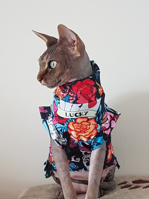 Sizes TATTOO Cat Jumper for a Sphynx Cat Clothes Jumper -  Israel