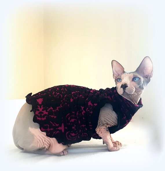 Sphynx Clothing | LV Jumper for Cat, Sphynx Cat Outfits, Blue, Grey, Pink