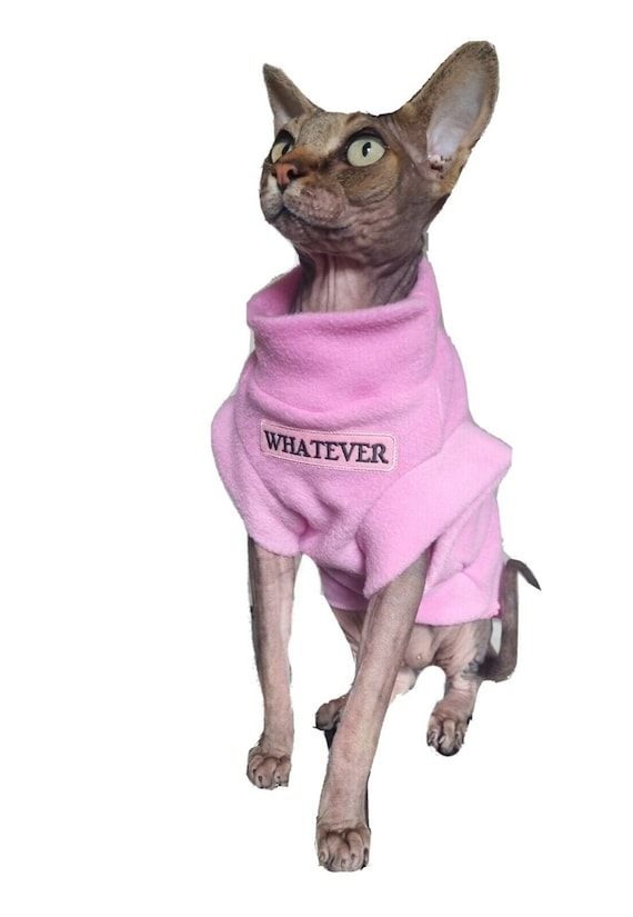 Vetement chat sphynx hotsell