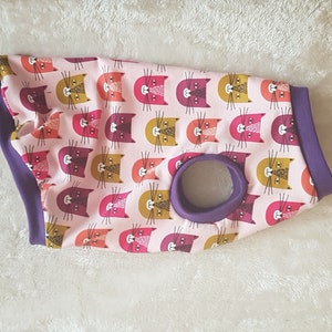 CATS summer cat clothes, costume for a cat, clothes for a cat, Sphynx cat clothes, HOTSPHYNX