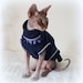 Hotsphynx