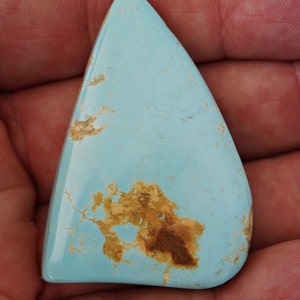 May include: A light blue turquoise cabochon with brown matrix. The stone is triangular in shape and has a smooth, polished surface.