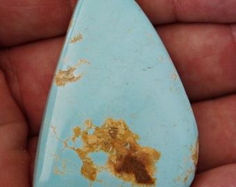May include: A light blue turquoise cabochon with brown matrix. The stone is triangular in shape and has a smooth, polished surface.
