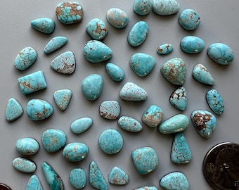 May include: A collection of turquoise gemstones in various shapes and sizes, including oval, teardrop, and irregular forms. The stones display a vibrant blue-green hue with brown matrix patterns. A quarter coin is included for size reference.