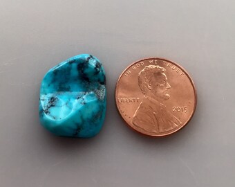 May include: A turquoise stone with black veins, next to a US penny with the year 2015.