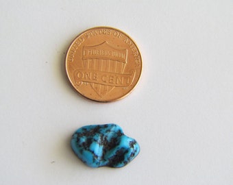 May include: A small, turquoise blue stone with black veins. The stone is next to a US penny with the inscription "United States of America, One Cent".