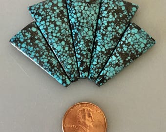 May include: A set of six turquoise cabochons in a fan shape. The turquoise is a blue-green color with black matrix. The cabochons are approximately the size of a US penny.