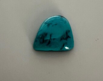 May include: A polished, turquoise-colored gemstone with dark veining. The stone has a smooth, rounded shape and a glossy finish. The turquoise color is vibrant and eye-catching, with the dark veins adding depth and detail. This gemstone could be used in jewelry or other crafts.