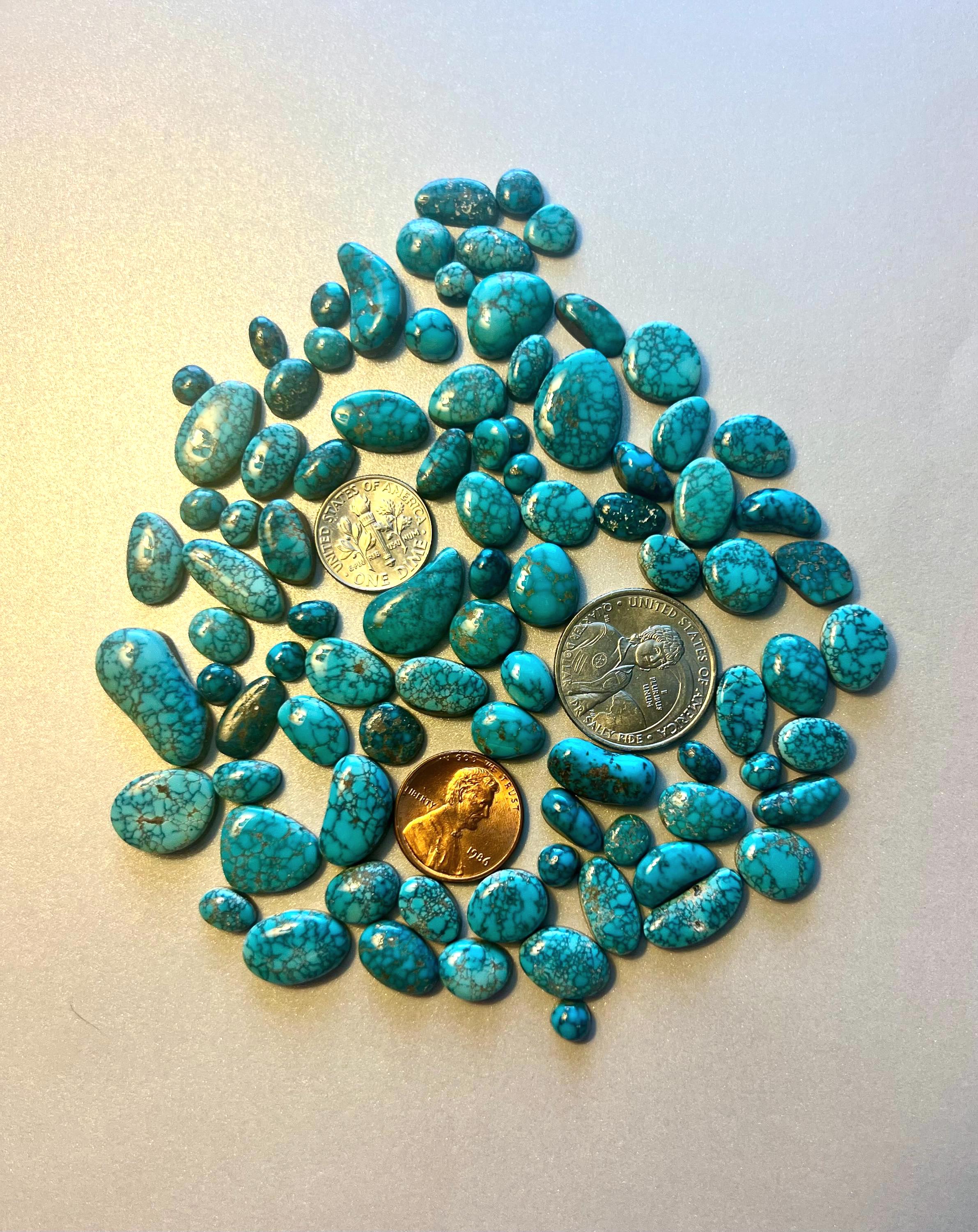 Lot of Gem Grade and High Grade Lone Mountain Turquoise Cabochon