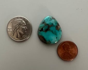 May include: A polished, teardrop-shaped turquoise gemstone with a vibrant blue-green hue and dark brown matrix. A U.S. quarter and penny are placed nearby for size comparison. The gemstone is approximately 1.5 inches in length.