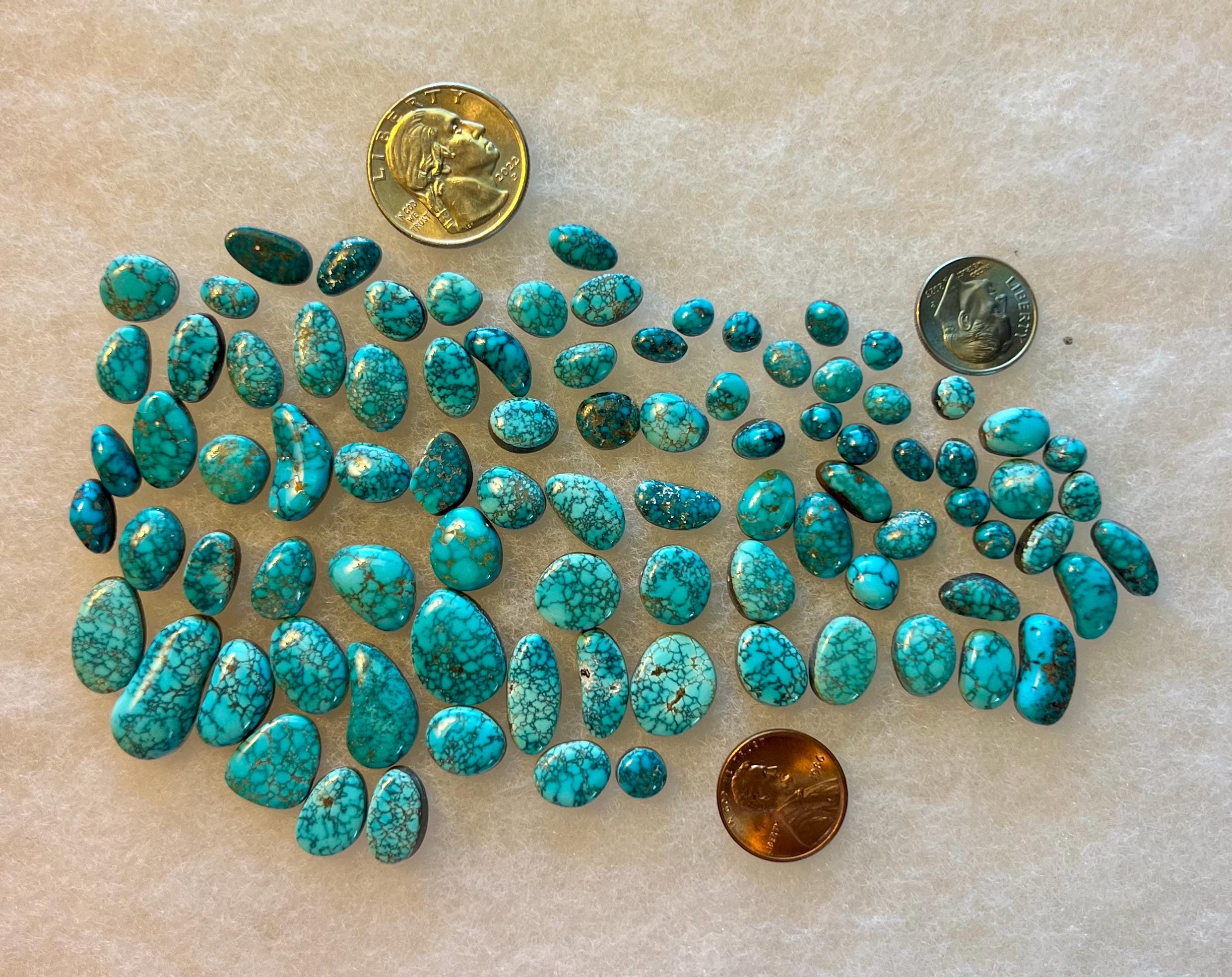 Lot of Gem Grade and High Grade Lone Mountain Turquoise Cabochon