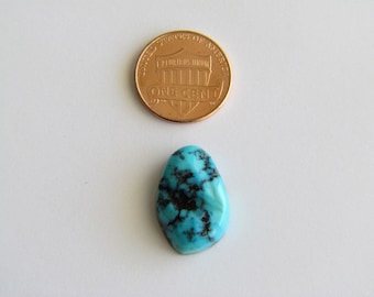May include: A turquoise cabochon gemstone with black matrix. The stone is approximately the size of a US penny.