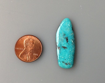 May include: A turquoise cabochon, a type of gemstone, is shown next to a US penny for size comparison. The turquoise is a vibrant blue-green color with black matrix.