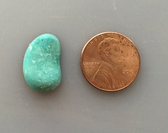 May include: A turquoise green stone, shaped like a teardrop, next to a US penny coin dated 2016.