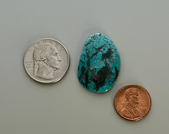 May include: A polished turquoise gemstone with a unique pattern of blue and brown veins. A quarter and a penny are placed next to the gemstone for size comparison. The gemstone is approximately 1.5 inches long.
