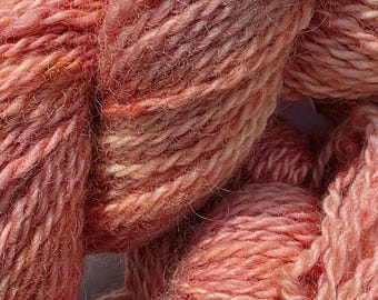 Finnish Landrace “Peach Bellini" Worsted