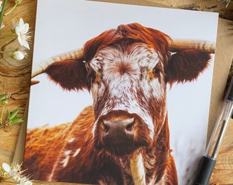 Kuh Geburtstagskarte Etsy