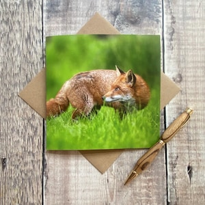fox greeting card - fox birthday card - British wildlife card - lovely fox card