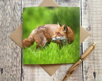 Fox Birthday Card: British Wildlife Greeting Card