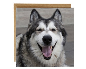 Alaskan Malamute greeting card / Smiling malamute huskycross card - malamute card - smiling happy dog card- Happy Dog card - Husky card