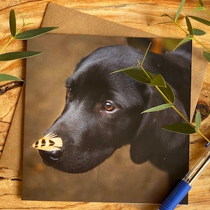Zwarte labrador-wenskaart, puppy zwart lab met veer op neus, blanco kaart, schattige zwarte labrador kaart - kaart labrador puppy - hondenkaart