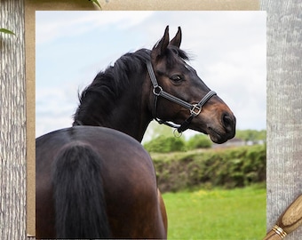 Horse Greeting Card: Equestrian Birthday or Thank You