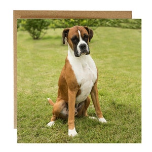 Carte de voeux pour chien boxer - vous me cherchez ? Carte de voeux pour chien boxer - carte d'anniversaire pour chien - carte pour toute occasion chien boxer - cadeau pour chien boxer