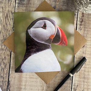 Puffin greeting card - puffin birthday card