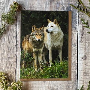Carte de voeux loup - carte de voeux avec des loups sur le devant. Carte d'amant de loup
