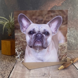 French bull dog greeting card - dog birthday card - dog card - Blank inside any occasion card - Frenchie dog  card
