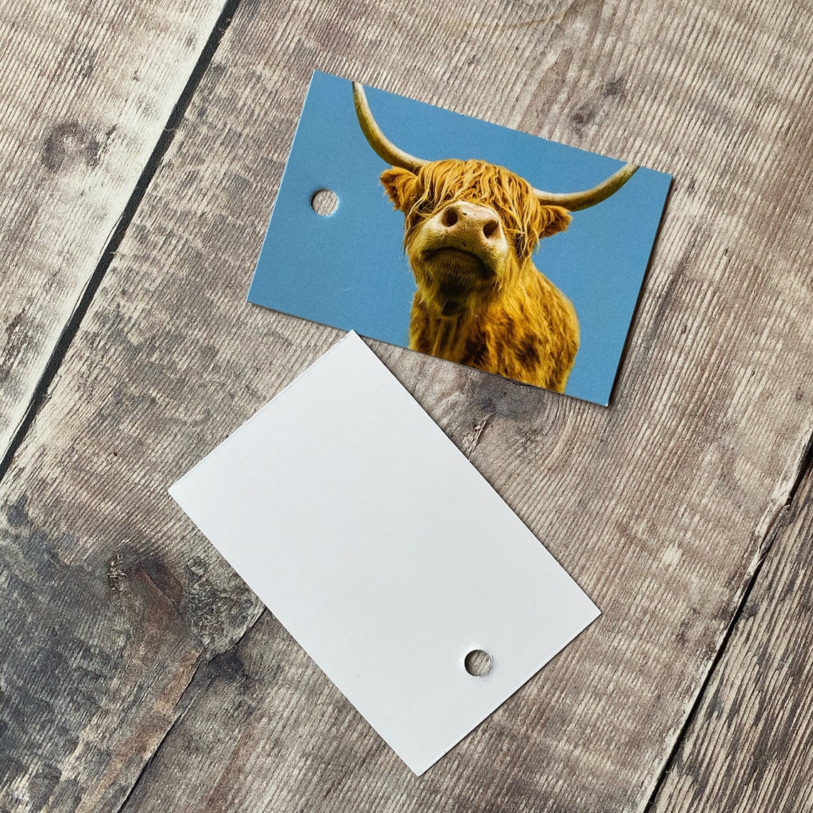 Highland Cow Gift Wrapping Paper and Gift Tags Highland Cow Etsy UK