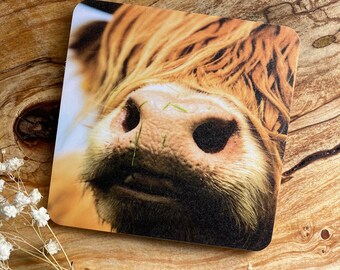 Highland Cow Coasters: Cork-Backed Drinks Coasters, Set of 4