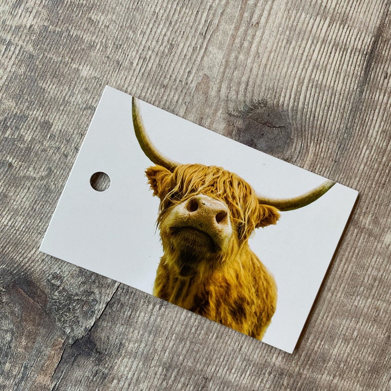 Highland Cow Wrapping Paper Highland Cow Gift Wrap Etsy UK