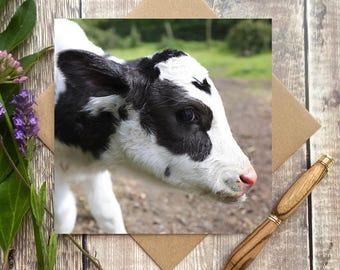 Wenskaart koe - verjaardagskaart koe - koe Kaart - wenskaart koe boerderij - wenskaart nieuwe baby koe