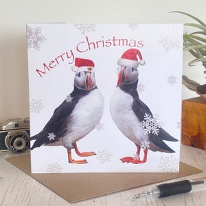 Papegaaiduiker kerstkaart- kerstkaart- twee papegaaiduikers met kerstmutsen schattige kerstkaart